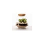 Terrarium izumi