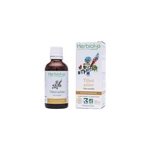 Tilleul aubier 50ml bio