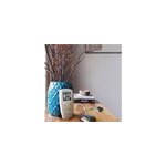 Trio care + - appareil électrostimulation Trio care + - appareil électrostimulation