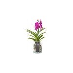 Vanda orchide cerise vase