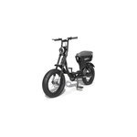 Vélo électrique biplace cargo garrett miller city noir, batt simple, pneus route Vélo électrique biplace cargo garrett miller city noir, batt simple, pneus route