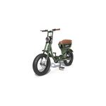 V�lo �lectrique biplace cargo garrett miller city vert, batt simple, pneus route