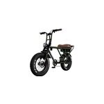V�lo �lectrique biplace cargo garrett miller x vert, batt simple, tout terrain