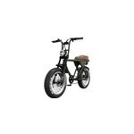V�lo �lectrique biplace cargo garrett miller z pneux off road, vert