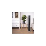 Ventilateur colonne peter noir