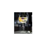 Verre  pied gin & tonic alkemist 58 cl
