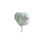 Voile d'hivernage plantes 2mx10m