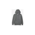 Jacket hoodie fz phoenix gris