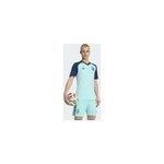 Jersey germany dfb preshi a bleu