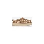 Tazz cheetah beige / marron
