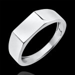 Bague clair obscur - chevalire hector - or blanc 9 carats