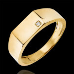 Bague clair obscur - chevalire hector - or jaune 9 carats et diamant