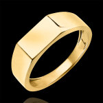 Bague clair obscur - chevalire hector - or jaune 9 carats
