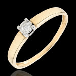 Bague solitaire amour d'une vie - diamant 0. 05 carat - or jaune 9 carats Bague solitaire amour d'une vie - diamant 0. 05 carat - or jaune 9 carats
