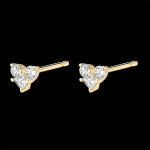 Boucles d'oreilles puces prcieux secret - mini lovely - or jaune 9 car