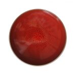 Assiette creuse tourron cerise 147035