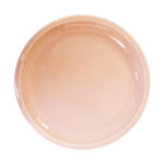 Assiette xl rose buvard cantine 26, 5 cm 147667