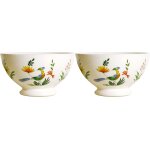 Coffret de 2 bols oiseaux du paradis 752679