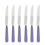 Coffret de 6 couteaux  steak newbridge violet 503268