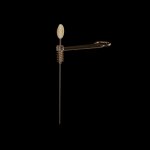 Coupe - raifort rettimo 144454