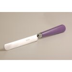 Couteau  dessert newbridge violet 503056