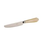 Couteau  dessert omega nacr naturel 500903