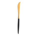 Couteau � fromage goa en acier inoxydable bross� gold & manche no. . . 364086
