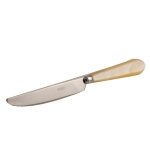Couteau de table omega nacr naturel 500900