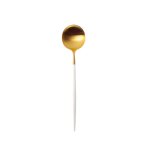 Set de 6 cuillres  caf / th goa en acier inoxydable bross gold. . . 364115