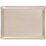 Plateau acrylique 60 x 45 cm secret argent 190276