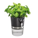 Pot d herbes aromatiques botanico 144172 Pot d herbes aromatiques botanico 144172