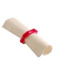 Rond de serviette nacr fuchsia 517016