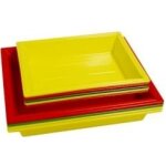 Ahel cuvette de labo 30x40cm