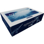Bergger kit cyanotype