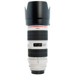 Canon 70 - 200mm ef f / 2. 8 l is usm iii (occasion)