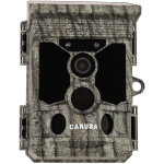 Caruba pige photographique raccoon 4k