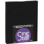 Cinestill dynamic 400 asa 4x5 inch