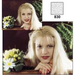 Cokin filtre p830 diffuseur 1