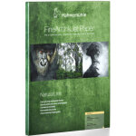 Hahnemhle papier photo bambou fine art 290g a4 25 f mat