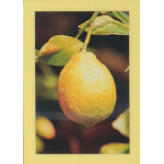 Slimpyx cadre photo 10x15cm jaune paille