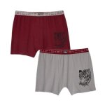 Lot de 2 boxers stretch confort