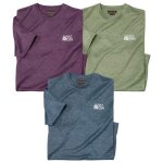 Lot de 3 tee - shirts sport flamm