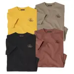 Lot de 4 tee - shirt destination arizona