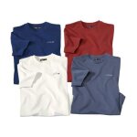 Lot de 4 tee - shirts rocheuses