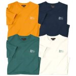 Lot de 4 tee - shirts trek park