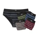 Lot de 5 slips coton ray�