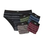Lot de 5 slips coton ray
