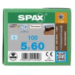 100 vis torx autoforeuse 5x60 spax - deck inox a2 - terrasse bois xotique