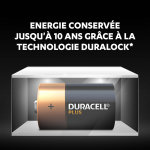 2 piles alcalines plus type d