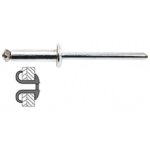 50 rivets clats alu / acier  tte plate  4 x 12 mm